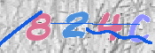 To prevent spam, please prove you are a real person by typing the characters you see in this box into the box below.