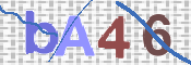 To prevent spam, please prove you are a real person by typing the characters you see in this box into the box below.