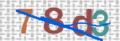 To prevent spam, please prove you are a real person by typing the characters you see in this box into the box below.