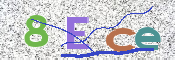 To prevent spam, please prove you are a real person by typing the characters you see in this box into the box below.