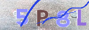 To prevent spam, please prove you are a real person by typing the characters you see in this box into the box below.