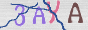 To prevent spam, please prove you are a real person by typing the characters you see in this box into the box below.