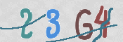 To prevent spam, please prove you are a real person by typing the characters you see in this box into the box below.