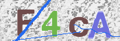 To prevent spam, please prove you are a real person by typing the characters you see in this box into the box below.