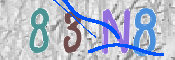 To prevent spam, please prove you are a real person by typing the characters you see in this box into the box below.