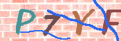 To prevent spam, please prove you are a real person by typing the characters you see in this box into the box below.