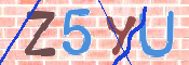 To prevent spam, please prove you are a real person by typing the characters you see in this box into the box below.