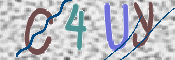 To prevent spam, please prove you are a real person by typing the characters you see in this box into the box below.