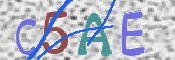 To prevent spam, please prove you are a real person by typing the characters you see in this box into the box below.