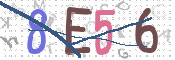 To prevent spam, please prove you are a real person by typing the characters you see in this box into the box below.