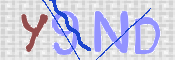 To prevent spam, please prove you are a real person by typing the characters you see in this box into the box below.