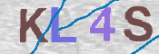 To prevent spam, please prove you are a real person by typing the characters you see in this box into the box below.