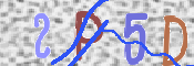 To prevent spam, please prove you are a real person by typing the characters you see in this box into the box below.