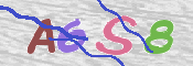 To prevent spam, please prove you are a real person by typing the characters you see in this box into the box below.