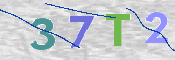 To prevent spam, please prove you are a real person by typing the characters you see in this box into the box below.