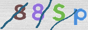To prevent spam, please prove you are a real person by typing the characters you see in this box into the box below.