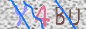 To prevent spam, please prove you are a real person by typing the characters you see in this box into the box below.