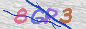 To prevent spam, please prove you are a real person by typing the characters you see in this box into the box below.