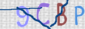 To prevent spam, please prove you are a real person by typing the characters you see in this box into the box below.