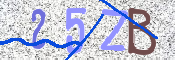 To prevent spam, please prove you are a real person by typing the characters you see in this box into the box below.