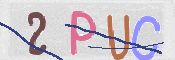 To prevent spam, please prove you are a real person by typing the characters you see in this box into the box below.