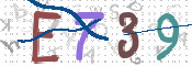 To prevent spam, please prove you are a real person by typing the characters you see in this box into the box below.