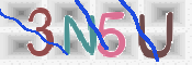 To prevent spam, please prove you are a real person by typing the characters you see in this box into the box below.