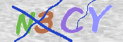 To prevent spam, please prove you are a real person by typing the characters you see in this box into the box below.