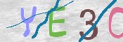 To prevent spam, please prove you are a real person by typing the characters you see in this box into the box below.