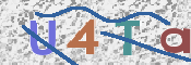 To prevent spam, please prove you are a real person by typing the characters you see in this box into the box below.