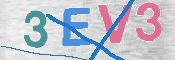 To prevent spam, please prove you are a real person by typing the characters you see in this box into the box below.