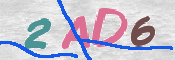 To prevent spam, please prove you are a real person by typing the characters you see in this box into the box below.