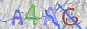 To prevent spam, please prove you are a real person by typing the characters you see in this box into the box below.