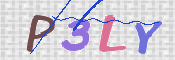 To prevent spam, please prove you are a real person by typing the characters you see in this box into the box below.