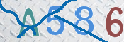 To prevent spam, please prove you are a real person by typing the characters you see in this box into the box below.