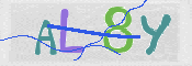 To prevent spam, please prove you are a real person by typing the characters you see in this box into the box below.