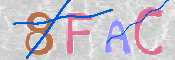 To prevent spam, please prove you are a real person by typing the characters you see in this box into the box below.