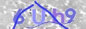 To prevent spam, please prove you are a real person by typing the characters you see in this box into the box below.