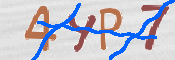 To prevent spam, please prove you are a real person by typing the characters you see in this box into the box below.