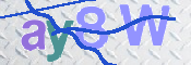 To prevent spam, please prove you are a real person by typing the characters you see in this box into the box below.