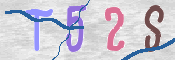 To prevent spam, please prove you are a real person by typing the characters you see in this box into the box below.
