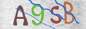 To prevent spam, please prove you are a real person by typing the characters you see in this box into the box below.