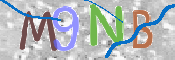 To prevent spam, please prove you are a real person by typing the characters you see in this box into the box below.