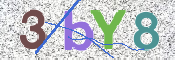 To prevent spam, please prove you are a real person by typing the characters you see in this box into the box below.