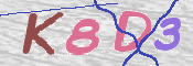 To prevent spam, please prove you are a real person by typing the characters you see in this box into the box below.
