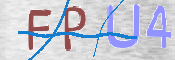 To prevent spam, please prove you are a real person by typing the characters you see in this box into the box below.
