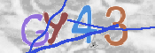 To prevent spam, please prove you are a real person by typing the characters you see in this box into the box below.
