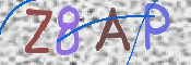 To prevent spam, please prove you are a real person by typing the characters you see in this box into the box below.