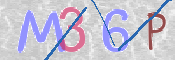 To prevent spam, please prove you are a real person by typing the characters you see in this box into the box below.