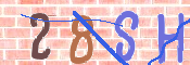 To prevent spam, please prove you are a real person by typing the characters you see in this box into the box below.
